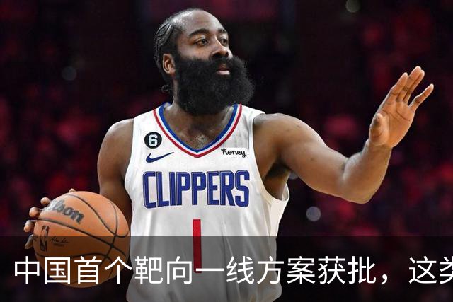 中国首个靶向一线方案获批，这类外周T细胞淋巴瘤迎新选择