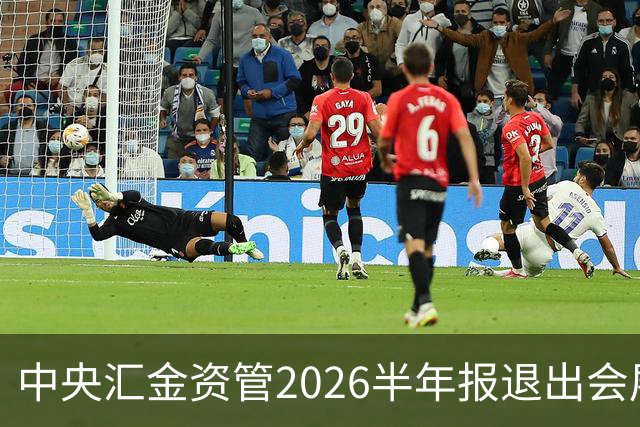 中央汇金资管2026半年报退出会展服务行业兰生股份前十大股东名单