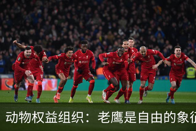 动物权益组织：老鹰是自由的象征，不是水晶宫取悦球迷的道具