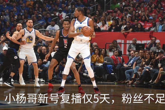 小杨哥新号复播仅5天，粉丝不足10万，直播间观看人数不到2000