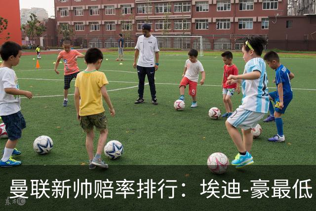 曼联新帅赔率排行：埃迪-豪最低，纳格尔斯曼、孔蒂其次